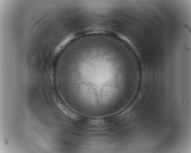 X0000099491403200805151356