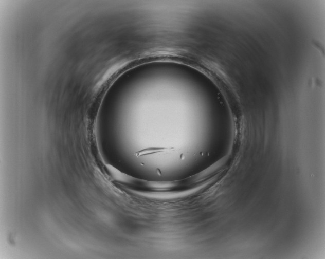 X0000099491404200805151356