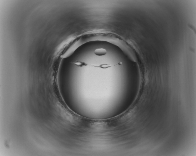 X0000099491406200805151356