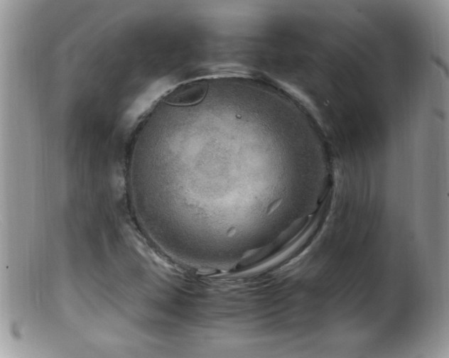 X0000099491407200805151356