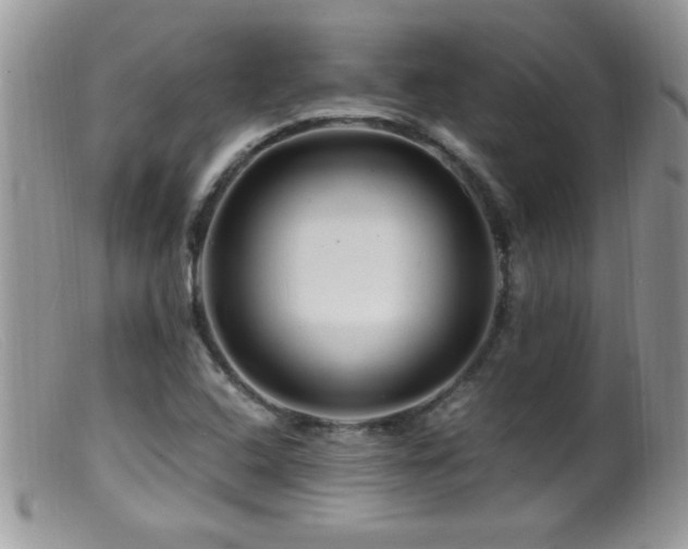 X0000099491408200805151356