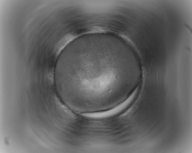 X0000099491409200805151356
