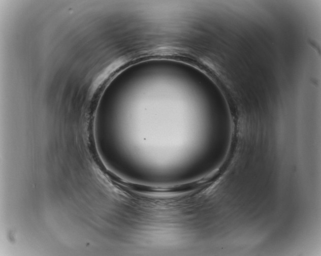 X0000099491410200805151356