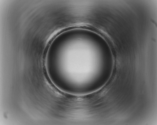 X0000099491412200805151356