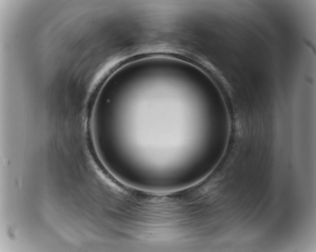 X0000099491416200805151356