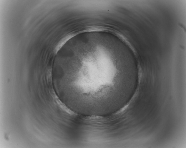 X0000099491417200805151356