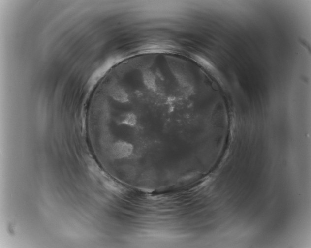 X0000099491419200805151356