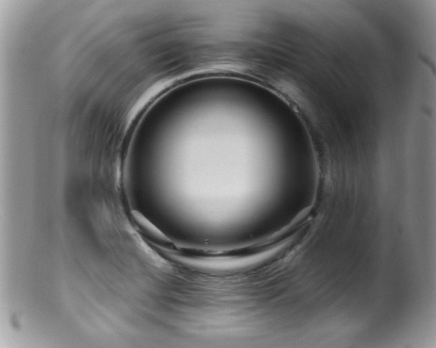 X0000099491420200805151356