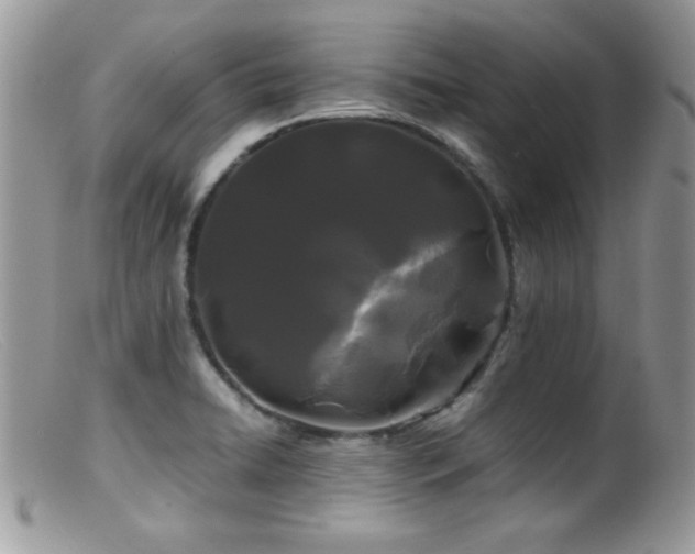 X0000099491422200805151356