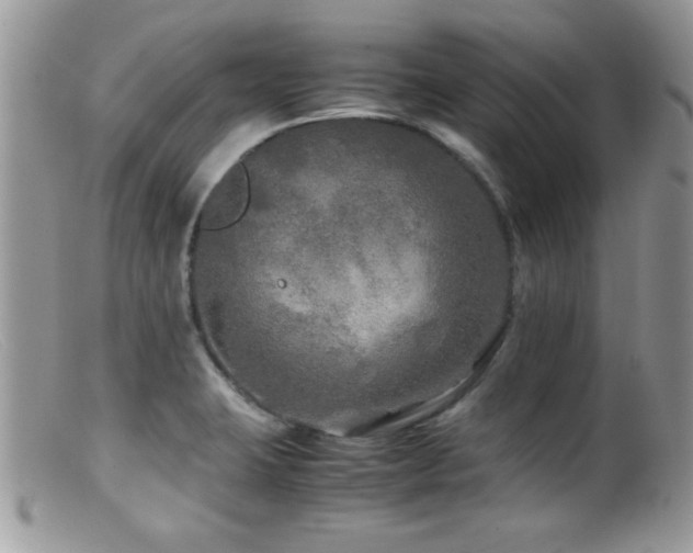 X0000099491423200805151356