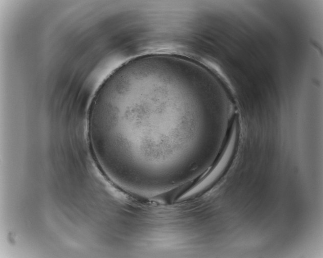 X0000099491424200805151356