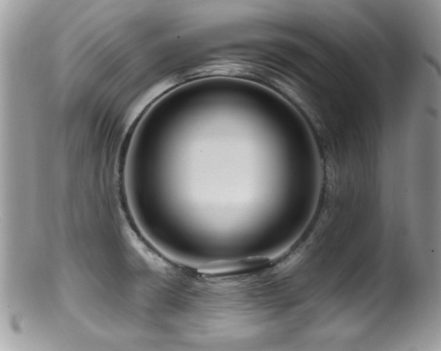 X0000099491426200805151356