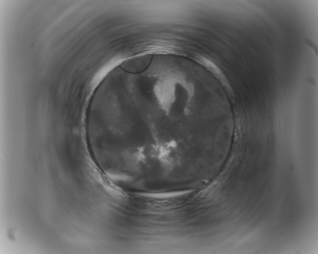 X0000099491427200805151356