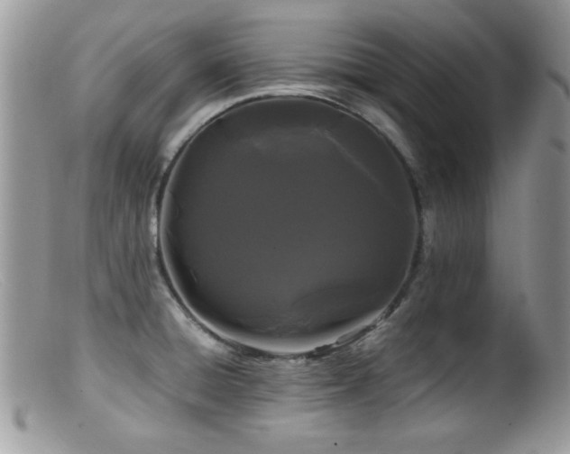 X0000099491428200805151356