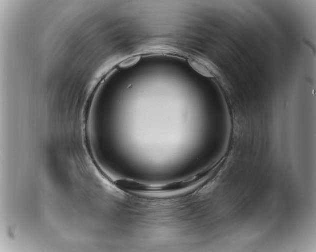 X0000099491430200805151356