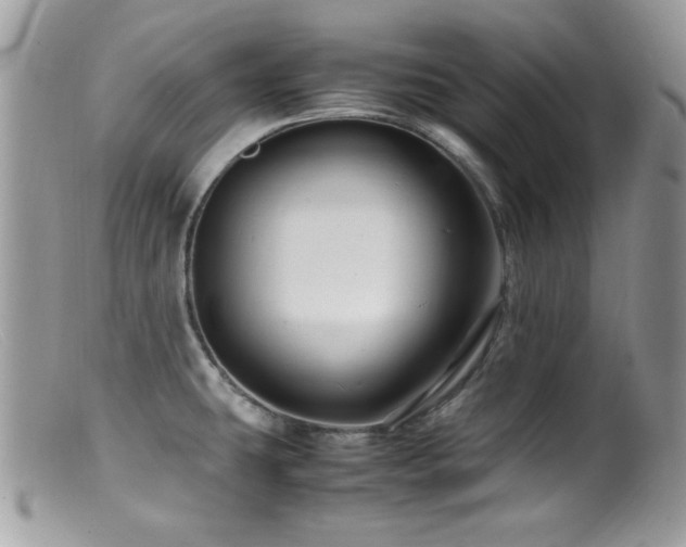 X0000099491431200805151356