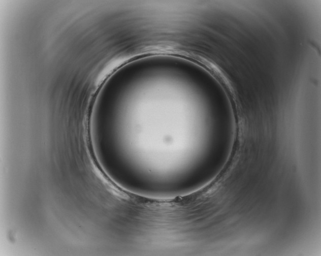 X0000099491432200805151356