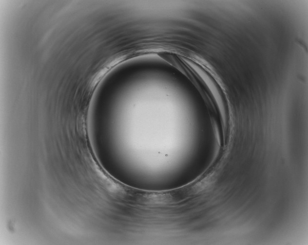 X0000099491433200805151356