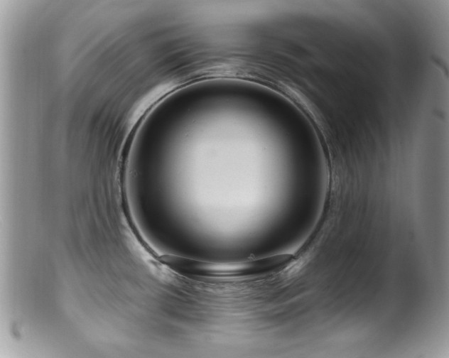 X0000099491434200805151356