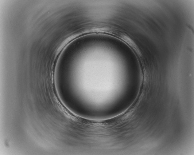 X0000099491436200805151356