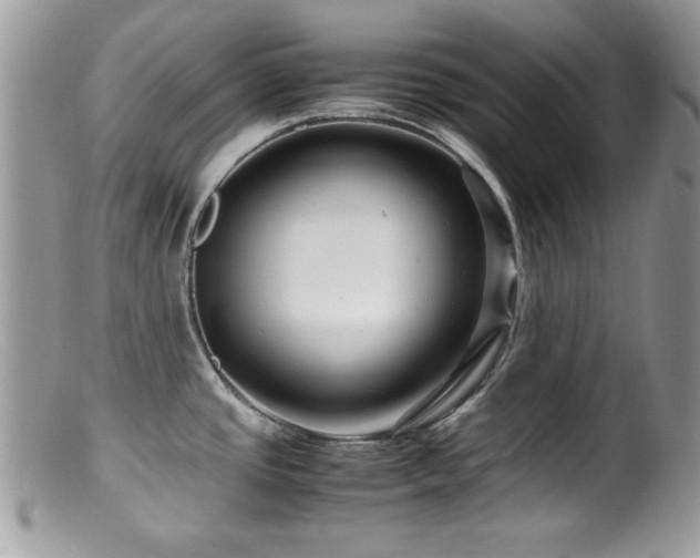 X0000099491437200805151356
