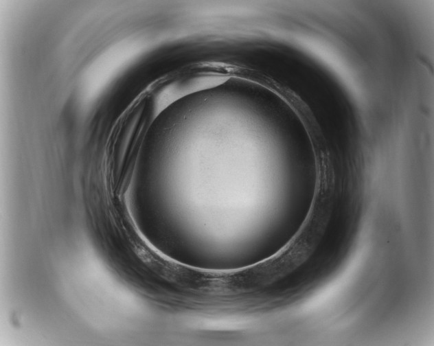 X0000099491438200805151356