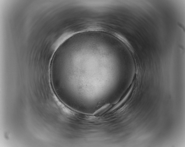 X0000099491439200805151356