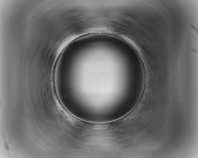 X0000099491440200805151356