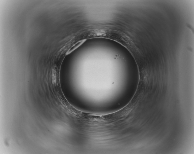 X0000099491442200805151355