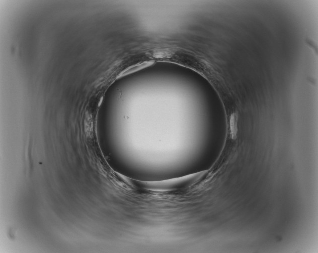 X0000099491443200805151355