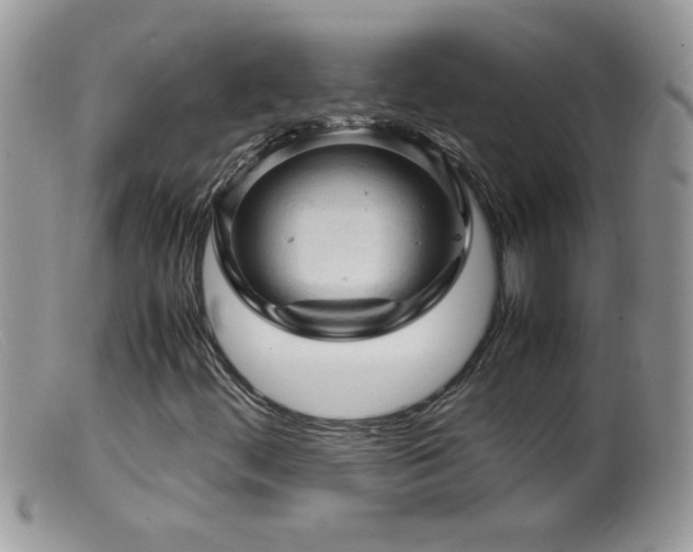 X0000099491444200805151355