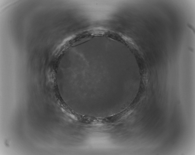 X0000099491445200805151355