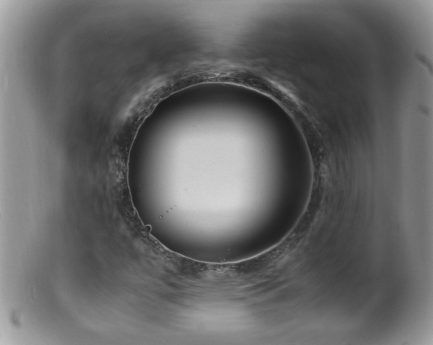 X0000099491447200805151355