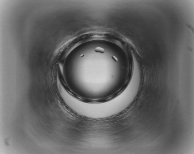 X0000099491448200805151355