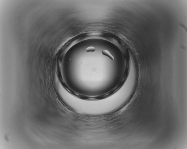 X0000099491449200805151355