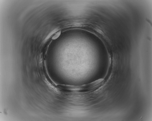 X0000099491450200805151355