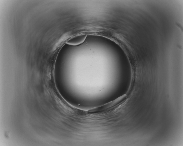 X0000099491451200805151355