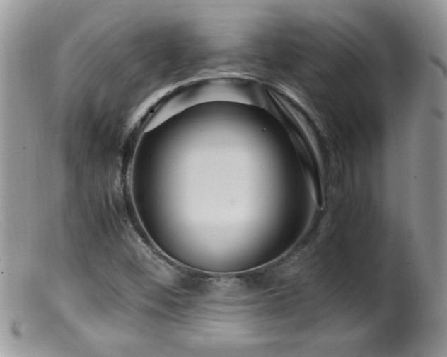 X0000099491452200805151355