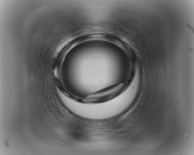 X0000099491453200805151355
