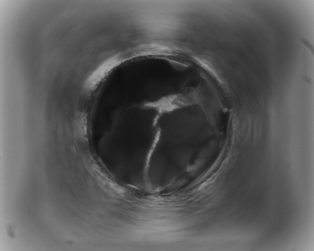 X0000099491455200805151355