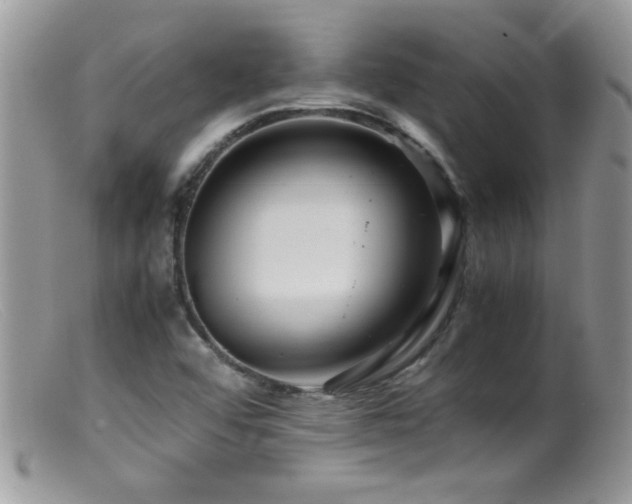 X0000099491456200805151355