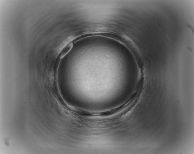 X0000099491457200805151355