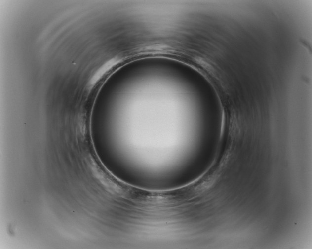 X0000099491458200805151355