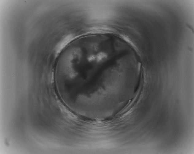 X0000099491459200805151355