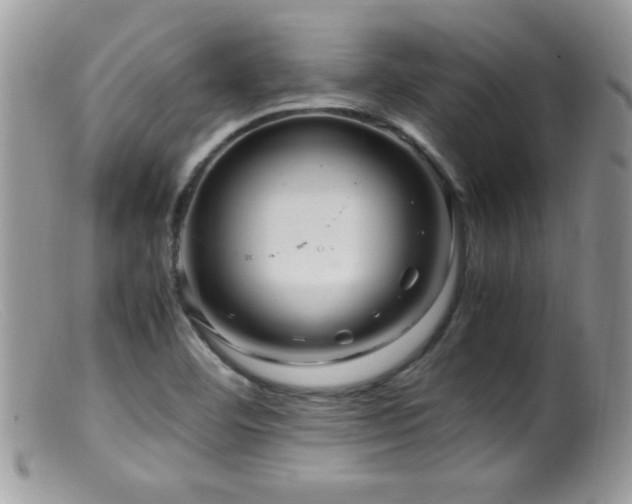 X0000099491460200805151355