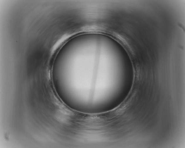 X0000099491462200805151355