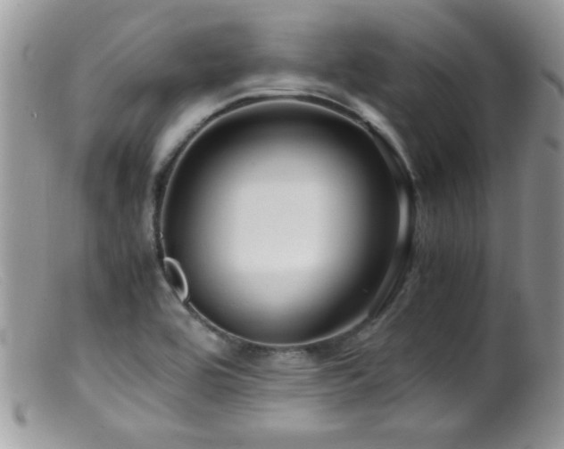 X0000099491464200805151355