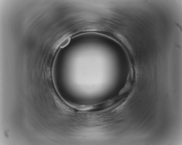 X0000099491465200805151355