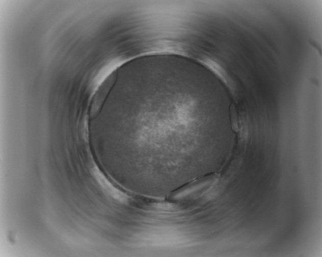 X0000099491468200805151355