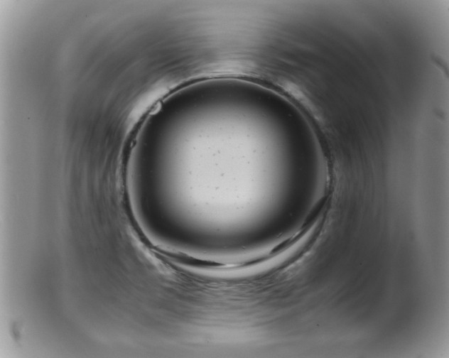 X0000099491469200805151355